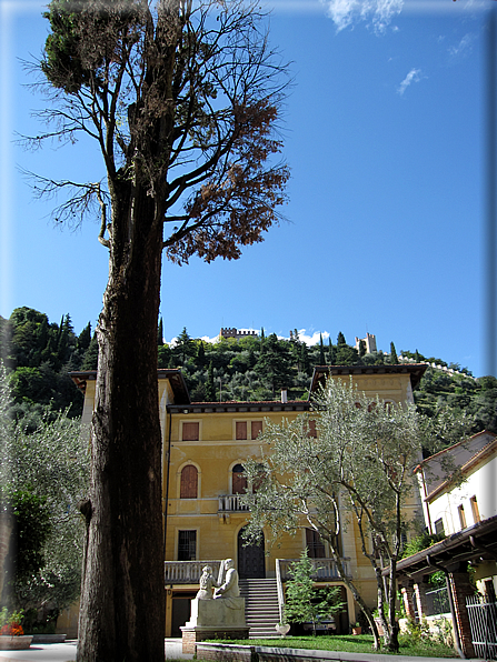 foto Marostica